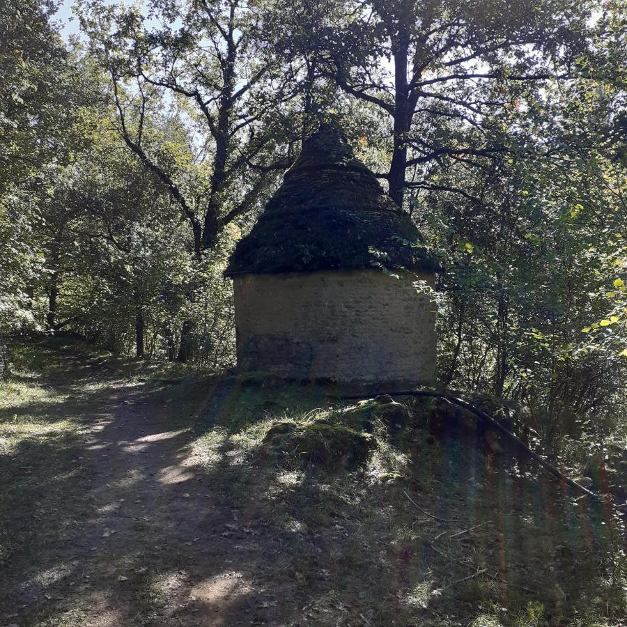 Le Manoir De Carlucet Gite Saint-Crépin-et-Carlucet 外观 照片