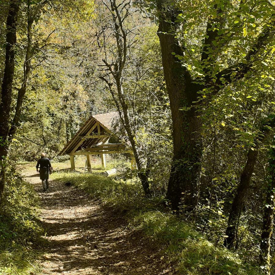 Le Manoir De Carlucet Gite Saint-Crépin-et-Carlucet 外观 照片